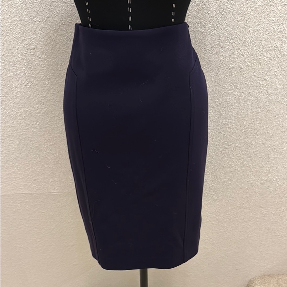 Elegant Purple Pencil Skirt
